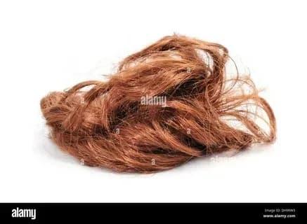 Discover Trendy wigs human hair wigs for Natural Shine and Everyday Comfort